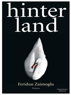 cover image of Hinterland